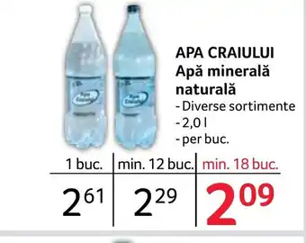 Selgros APA CRAIULUI Apă minerală naturală Ofertă