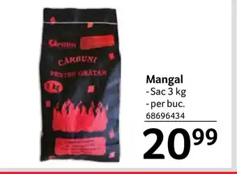 Selgros Mangal Ofertă