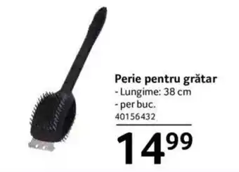 Selgros Perie pentru grătar Ofertă