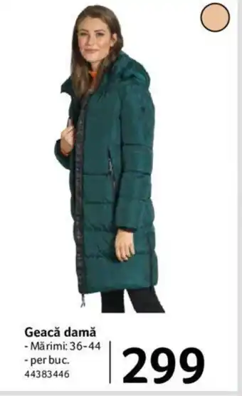 Selgros Geacă damă Ofertă