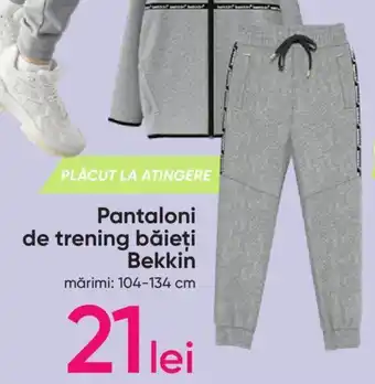 Pepco Pantaloni de trening băieţi Bekkin Ofertă