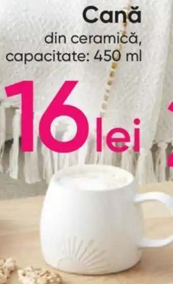 Pepco Cană Ofertă