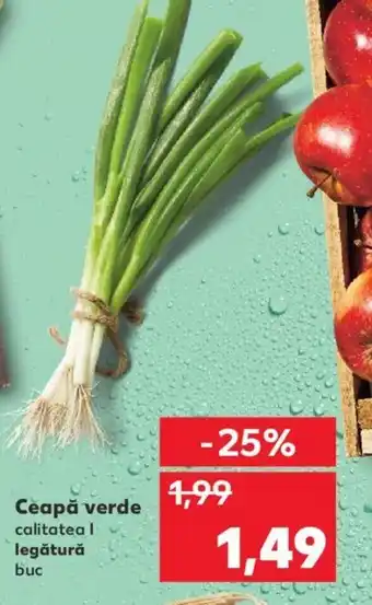 Kaufland Ceapă verde Ofertă