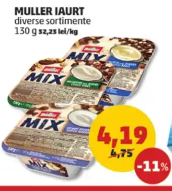 Penny MULLER IAURT Ofertă