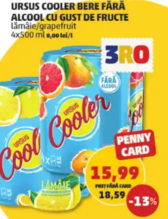 Penny URSUS COOLER BERE FĂRĂ ALCOOL CU GUST DE FRUCTE Ofertă