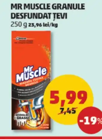 MR MUSCLE GRANULE DESFUNDAT TEVI