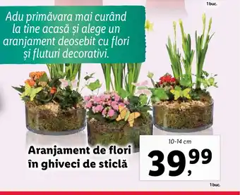 Lidl Aranjament de flori în ghiveci de sticlă Ofertă