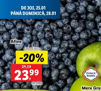 Lidl Afine Ofertă