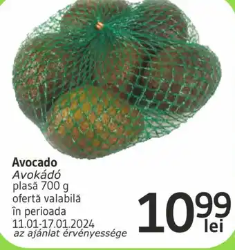 Supeco Avocado Ofertă