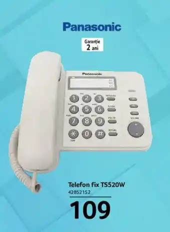 Selgros Panasonic Telefon fix TS520W Ofertă