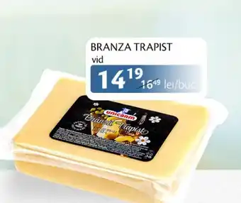 Unicarm BRANZA TRAPIST Ofertă