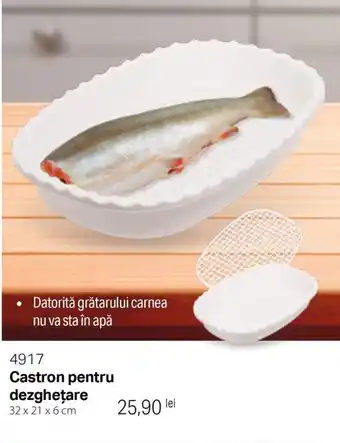 Castron pentru dezgheţare
