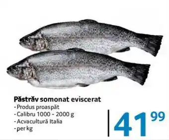 Selgros Păstrăv somonat eviscerat Ofertă