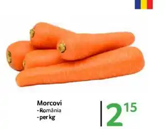 Selgros Morcovi Ofertă