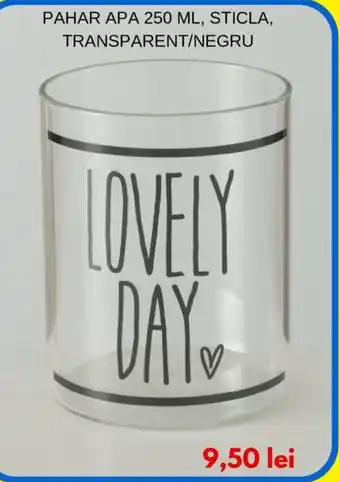 Homelux PAHAR APA 250 ML, STICLA, TRANSPARENT/NEGRU Ofertă