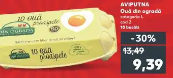 Kaufland AVIPUTNA Ouă din ogradă Ofertă