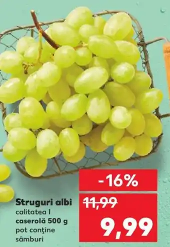Kaufland Struguri albi Ofertă