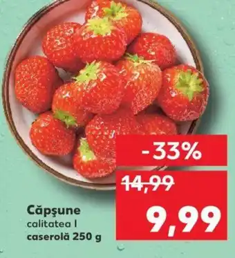 Kaufland Căpşune Ofertă