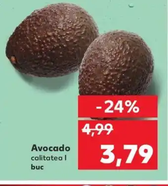 Kaufland Avocado Ofertă