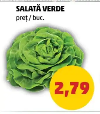 Penny SALATĂ VERDE Ofertă
