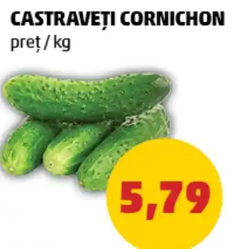 CASTRAVEȚI CORNICHON