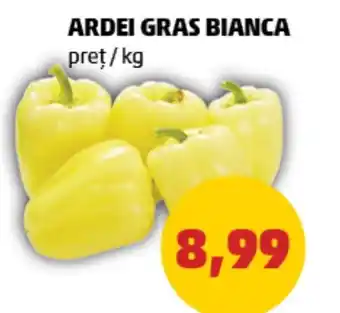 ARDEI GRAS BIANCA