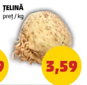 ŢELINĂ