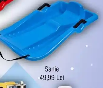 Sanie