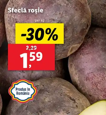 Lidl Sfeclă roşie Ofertă