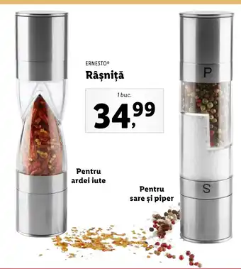 Lidl ERNESTOⓇ Râşniţă Ofertă