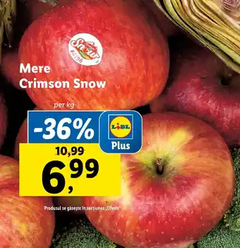 Lidl Mere Crimson Snow Ofertă