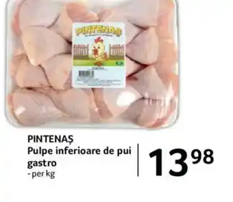 Selgros PINTENAS Pulpe inferioare de pui gastro Ofertă