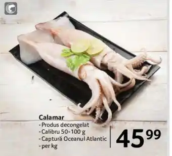 Selgros Calamar Ofertă