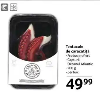 Tentacule de caracatiţă