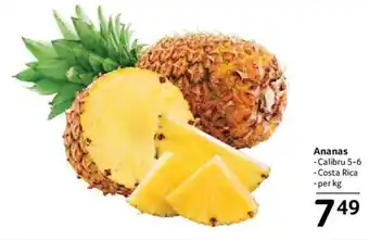 Selgros Ananas Ofertă