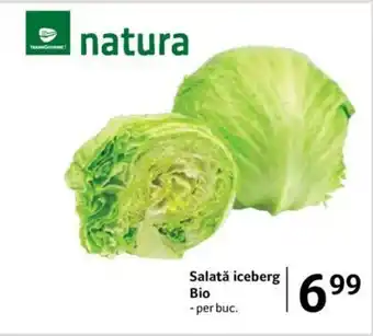 Selgros Salată iceberg Bio Ofertă