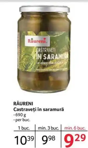 Selgros RÂURENI Castraveţi în saramură Ofertă