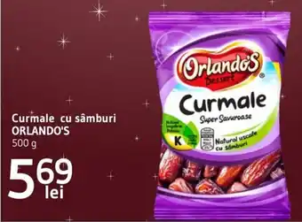 Curmale cu sâmburi ORLANDO'S
