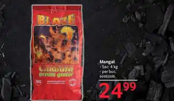 Selgros Mangal Ofertă