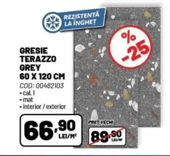 Ambient GRESIE TERAZZO GREY 60 X 120 CM Ofertă