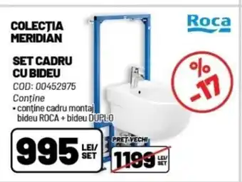 SET CADRU CU BIDEU