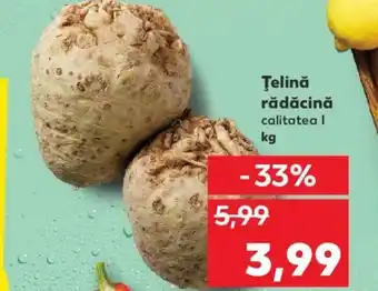 Kaufland Țelină rădăcină Ofertă