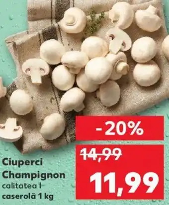 Kaufland Ciuperci Champignon Ofertă