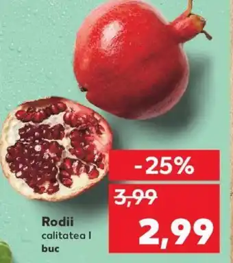 Kaufland Rodii Ofertă
