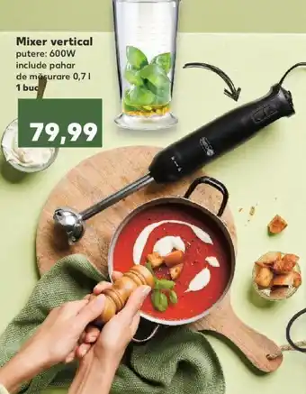 Kaufland Mixer vertical Ofertă