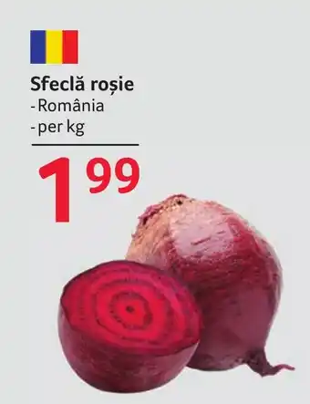 Selgros Sfeclă roşie Ofertă