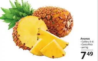 Selgros Ananas Ofertă