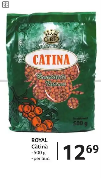 Selgros ROYAL Cătină Ofertă