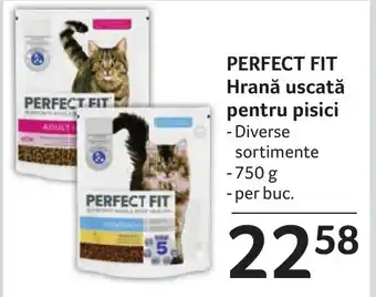 PERFECT FIT Hrană uscată pentru pisici