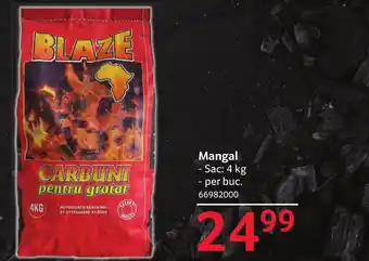 Selgros Mangal Ofertă